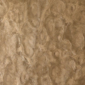 Zenit Moonlight Metallic Bronze LTM8LF306